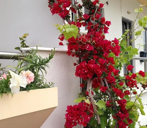 ホテル Zefyros Rhodes City